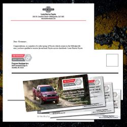 Louie Herron Toyota Service Checkbooks